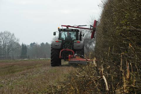 Feldrand- und Grabenpflege